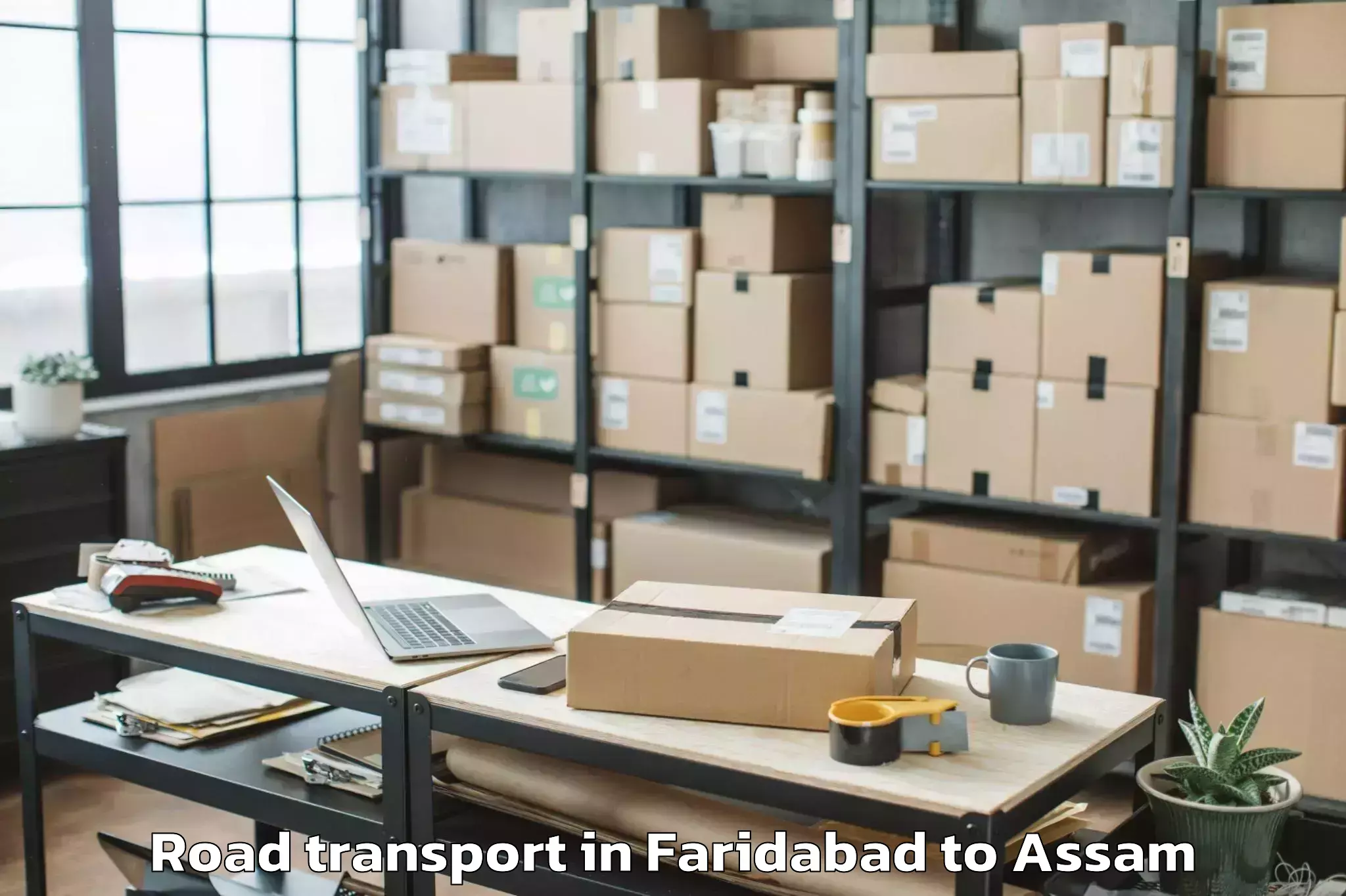 Professional Faridabad to Howraghat Road Transport